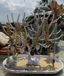 Photo Jun 05 2025, 1 43 00 PM