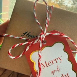 WhatsApp Image 2025-11-14 at 02.36.37_55a4f2f5